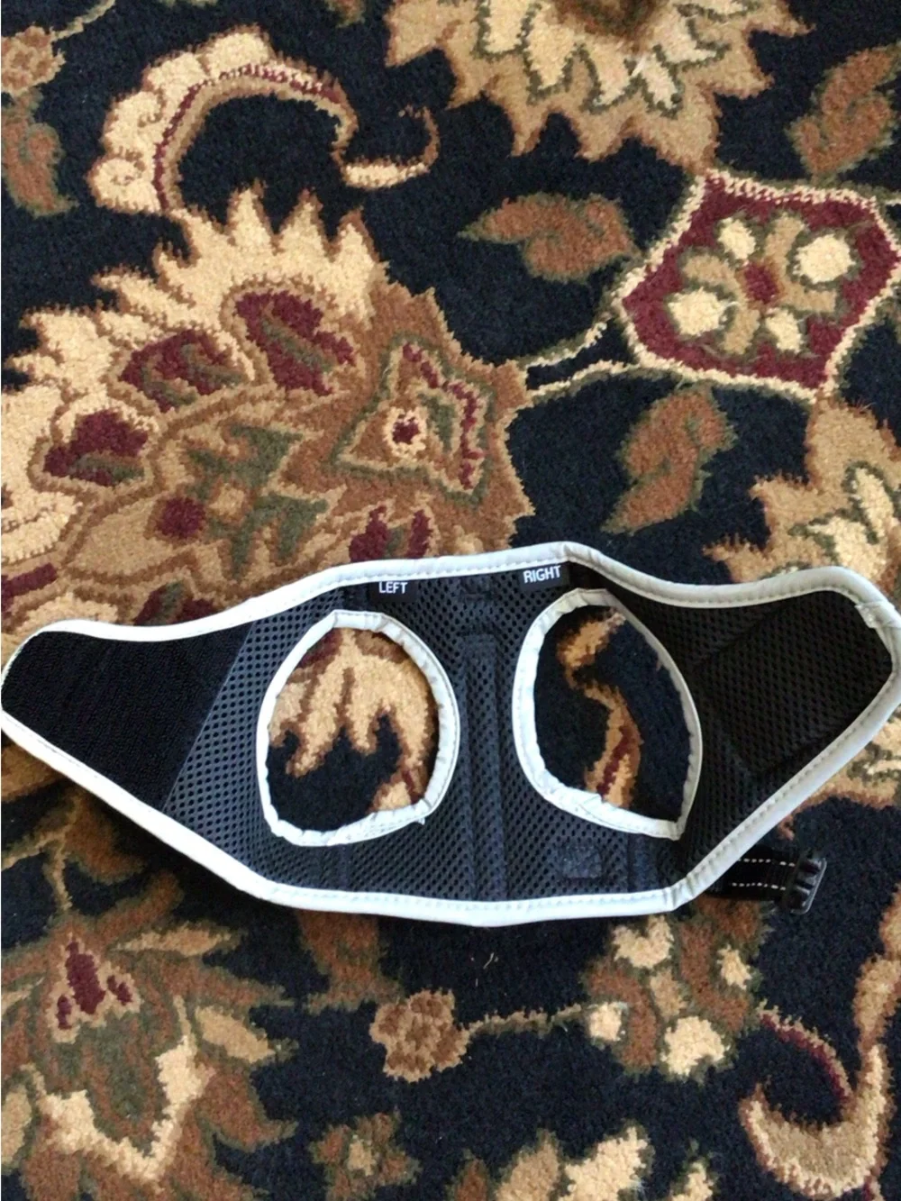 Boots & Barkley Black and Grey Cat Harness Vest